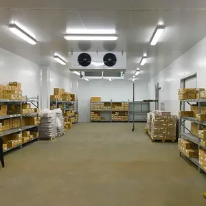 5000t tomato cold storage room project