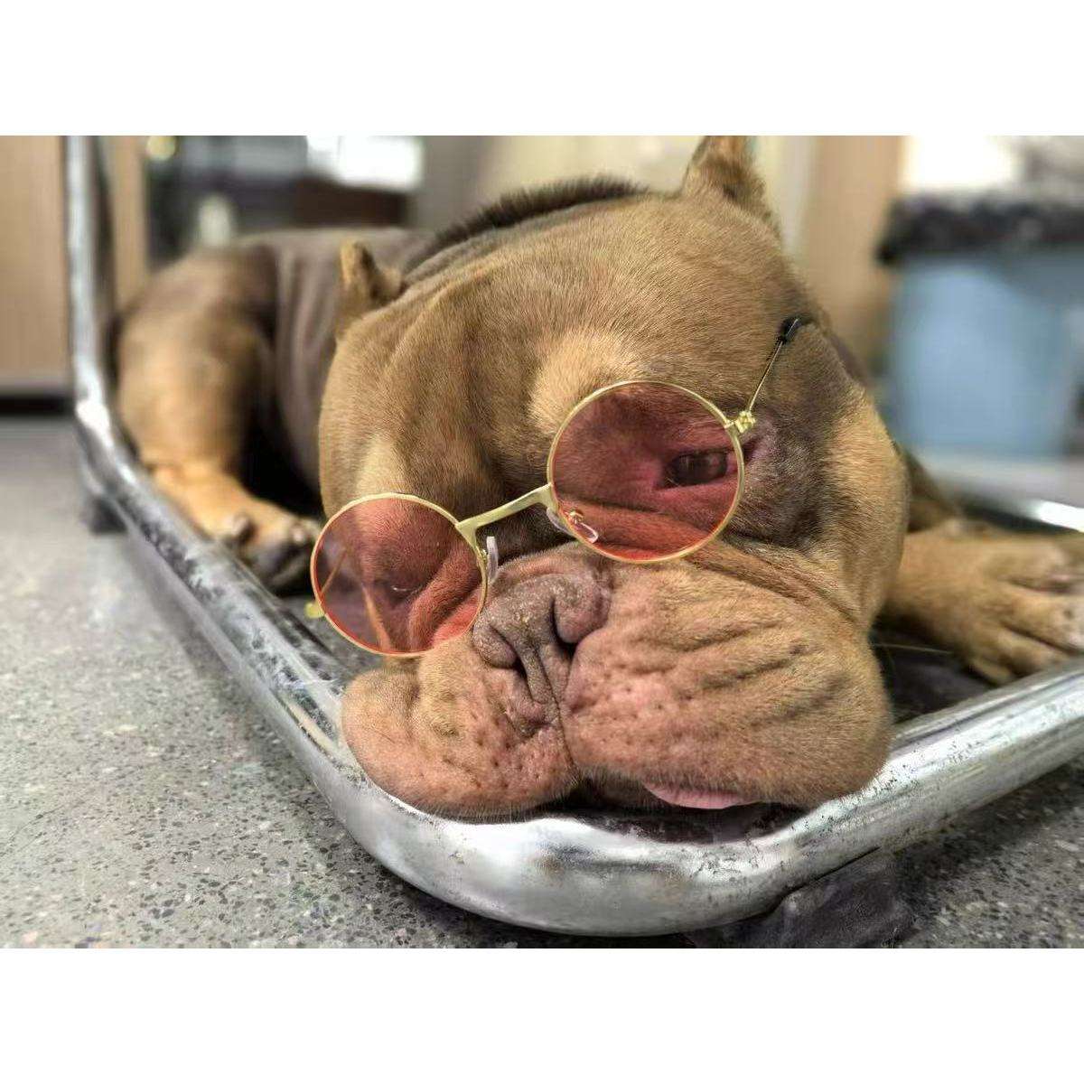 ผงทองคำ (ทรงกลม, 12 ซม.)