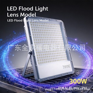 Reflector LED de 300W, Modelo con Lente, Exterior, Impermeable, Haz de Luz Amplio, Cuerpo de Aluminio, Chip COB, Montaje Superficial - Product Image 1