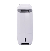 Déshumidificateur Électrique Portable Domestique OEM/ODM avec Filtre Lavable, Capacité de 12 Pintes/24h, Minuteur 2/4/8 Heures, Faible Niveau de Bruit