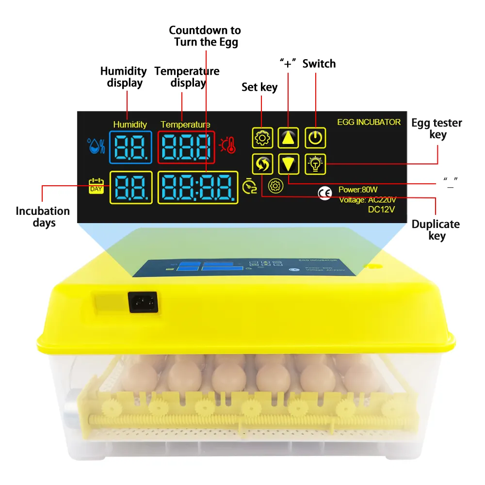 Goede Kwaliteit Volautomatische Mini 42 Eieren Incubator Ei Incubator Gemaakt In China Eieren Landbouw Machine Incubator