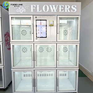 Vente Flash : Distributeur Automatique de Fleurs Haute Technologie pour la Conservation de la Fraîcheur – Remise en Gros pour les Distributeurs Mondiaux d'Équipements Floraux - Product Image 5