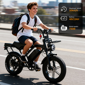 Bicicleta Eléctrica VOMO X80 Pro con Llantas Gruesas, Bicicleta Eléctrica Todoterreno de 20 Pulgadas y 250W, Bicicleta Eléctrica Económica en Oferta, Bicicleta Eléctrica de Montaña de Alta Velocidad - Product Image 2