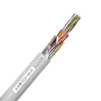Cat 3 Cuivre Plaqué Acier Souterrain 200 Paire Code Couleur Cuivre Téléphone Câble Blindé 50 Paires Câbles Téléphoniques Intérieurs