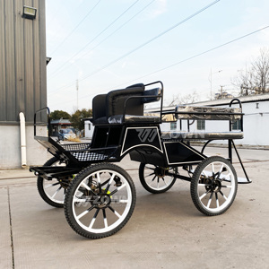 Carruaje de Caballos para Turismo Europeo, Club Ecuestre, Caballo Negro para Entrenamiento de Maratón - Product Image 3