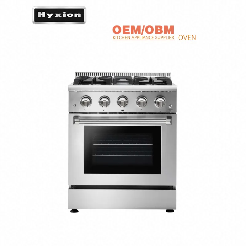 Hyxion 220v new design combi steam small size gas commercial Oven