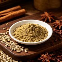 Fabricant chinois de poudre de fenouil pure naturelle de haute qualité, prix de gros, épices en vrac pour assaisonnement de viande