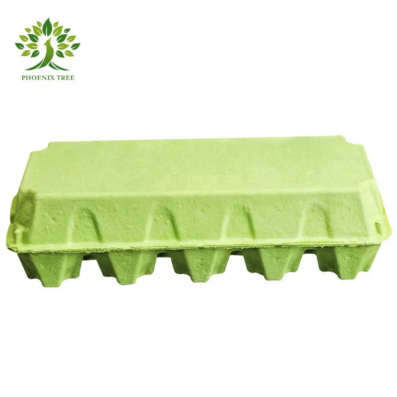 Top quality paper pulp 10 chicken eggs tray