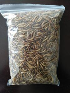 Minhocas secas seca microondas secas mealworms para galinha - Product Image 5