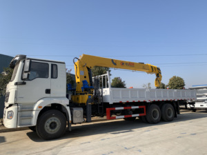 Grúa Montada en Camión de 12 Toneladas, 4 Toneladas, 8x4, con Pluma Recta y Estabilizadores para Carga de Maquinaria Pesada y Transporte de Larga Distancia - Product Image 2