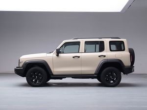 Para TANK 300 Tank GWM SUV, Coche de Marca Famosa, Alta Calidad, en Stock, 2.0T, 2.5 Asientos, SUV Usado - Product Image 6