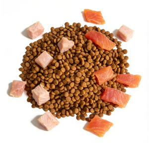 מזון לכלבים וחתולים בכל שלבי החיים, בשר טרי - ניתן לבחירה חופשית של תוספת תזונה עשירה לייצור OEM ו-ODM. - Product Image 6