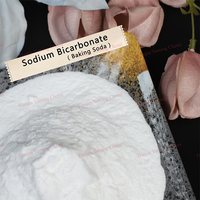Bicarbonato de Sodio (Bicarbonato de Sodio) 99% Mín. CAS:144-55-8, Grado Alimenticio para Cocina, Limpieza y Salud