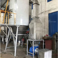 Spray pour sécher la poudre de détergent ou collagène, 1 unité, usine en chine, uniforme rotatif, pour le séchage de poudre d'argile