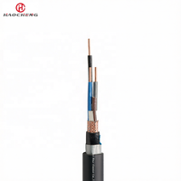 Cable de Instrumentos Blindado de Cobre DJYVP22 Certificado para Transmisión de Señales Industriales CE RoHS