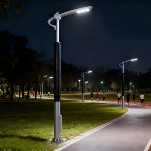 Panel Solar CIGS de Oriente Medio de 95W - 180mm de Diámetro para Farolas de Desierto |   Resistencia al Viento Cero - Product Image 2