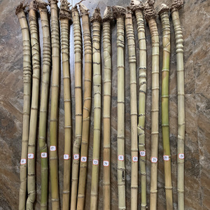Luohan Bamboo Fishing Rod Ribs Fan Handles Calligraphy Brush Handles 3-5 Mm Diameter 1.2 M Length Craft Supplies - Product Image 3