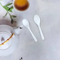 Couverts à dessert compostables en CPLA (couteau/fourchette/cuillère/spork) pour café/gâteau, logo et couleurs personnalisés, certifiés DIN/BPI/OK