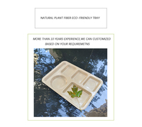 Plateau repas carré à 6 compartiments en fibre de coque de riz biodégradable pour l'école