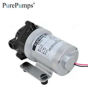 Cao GPH Cấp Thực Phẩm BLDC Động Cơ Điện 12V Không Có Bàn Chải Hoạt Động RO Màng Màng Tăng Cường Bơm