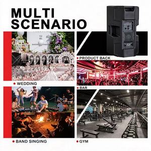 Haut-parleur PA 15 pouces en plastique noir, actif, avec amplificateur de classe D et DSP, haute puissance, utilisations multiples, puissance maximale 1000W - Product Image 4