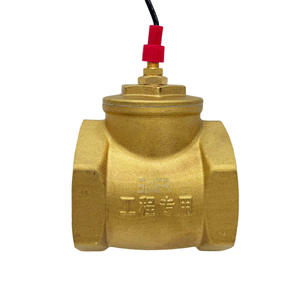 Interrupteur de débit en laiton à déflecteur de 2,5 pouces, débit élevé, type de fluide liquide, palette pour la protection contre les perturbations du débit d'eau industriel - Product Image 2