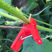 Clips de support pour plantes de jardin, clips de treillis pour plantes grimpantes, légumes, concombres, vigne, serre