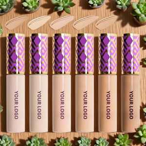 Aangepaste Make-Up Merk Volledige Dekking Vloeibare Concealer Palet Natuurlijke En Verhelderende Crème Make-Up Voor De Huid Met Etikettering - Product Image 3