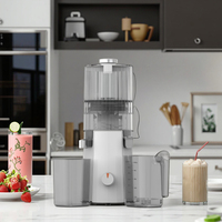 Elektrische fruit- en groentesapcentrifuge Moderne hoge kwaliteit 1,5L RV-compatibel Stille DC-motor Smoothie Multifunctionele slowjuicer