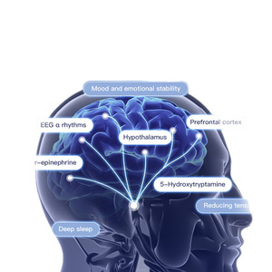 Appareil de thérapie du sommeil EEG portable - Surveillance des ondes cérébrales Aide rapide au sommeil pour l'insomnie Utilisation à domicile portable Batterie intégrée - Product Image 6