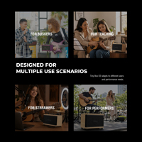 Amplificateur de guitare électrique Musiccube D2, haut-parleur SOLO PA portable rechargeable, compatible avec la diffusion en direct et la pratique, prise en charge OEM