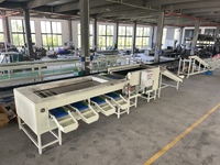 Automatische fruit- en groentesorteermachine voor aardappelen, appels, kersen & meer