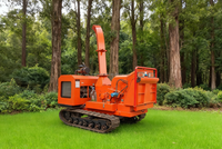 Broyeur de bois forestier mobile diesel, broyeur hydraulique de branches d'arbres, broyeur de souches, broyeur de bois industriel