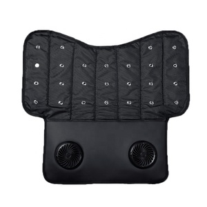 Anjuny Logo özel evcil hayvan arabası aksesuarları Pet köpek soğutma <span class=keywords><strong>mat</strong></span>ı hayranları ile yaz açık için - Product Image 1