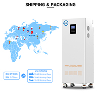 Stock UE 16 kWh avec onduleur hybride intégré de 5 kW, batterie LiFePO4 51,2 V 300 Ah, 314 Ah, 330 Ah, système solaire tout-en-un avec batterie et onduleur