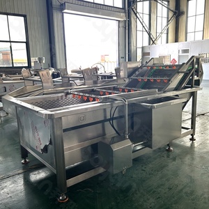 เครื่องล้างอุตสาหกรรมอาหารอัตโนมัติ รุ่น SS304 แบบฟองอากาศ สำหรับมันฝรั่ง มะเขือเทศ และผักใบเขียว - Product Image 4