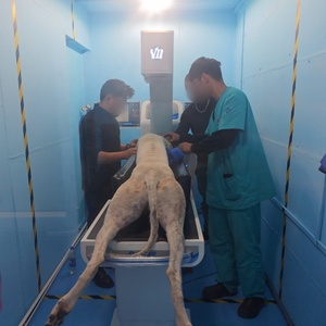 Vetoo DX-Auto Plus – Machine de tomodensitométrie vétérinaire certifiée CE avec C-bras pour animaux – Diagnostic avancé des os, des articulations, des tumeurs et de la dentisterie – Image claire - Product Image 1