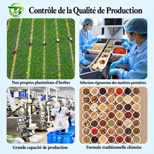 Tisana alle Erbe per la Memoria, 20 Bustine a Piramide, Supporto Cerebrale e Concentrazione, Bevanda Botanica Naturale, Vendita all'Ingrosso Diretta dalla Fabbrica - Product Image 6