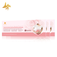 Patchs Transdermiques à Base de Plantes pour Soulager les Crampes Menstruelles chez la Femme, Patchs Féminins Jetables Contre la Douleur avec Eucalyptus et Menthol, Sans Douleur