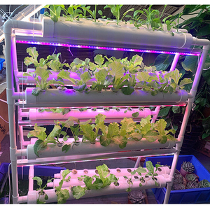 Systèmes agricoles verticaux d'intérieur hydroponiques intelligents à lumière LED pour la maison, le bureau et le restaurant-Automatique avec composants centraux de pompe à moteur - Product Image 3