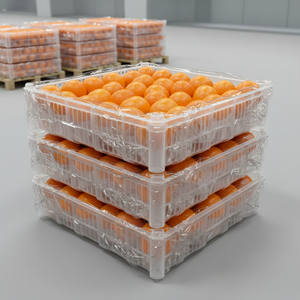 Naranja Navel Premium, Cítrico Dulce y Fresco, Fruta Natural Saludable y Jugosa, Cosecha de Huerto, Proveedor Mayorista de Exportación - Product Image 3