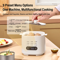Mini Cuiseur à Œufs Électrique et Cuiseur Vapeur Alimentaire avec Minuteur et Réservation, Bol en Acier Inoxydable, Support à Œufs, Appareil de Cuisson pour le Petit-Déjeuner à Domicile