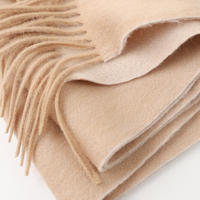 Écharpe à franges polyvalente épaisse et chaude en laine d'agneau pour femmes, style coréen, nouveauté en stock, tendance automne/hiver