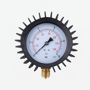 Manomètre radial de 100 mm avec couvercle de protection en fonte pour la protection industrielle - Product Image 1