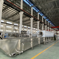 Machine industrielle multifonctionnelle en acier inoxydable SUS304 pour le lavage et le nettoyage des tomates par bulles, facile à utiliser