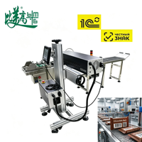Machine de marquage laser anti-contrefaçon pour la date de production et les marques de brevet, pour l'emballage de snacks et les lignes de production d'emballages souples pour snacks