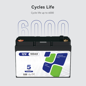 Batterie de stockage d'énergie LiFePO4 de qualité A à semi-conducteurs, tension optionnelle 12V/24V/36V, 50-350AH - Product Image 5