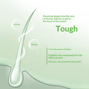 ครีมนวดผมสูตรออร์แกนิค วีแกน ผสมน้ำมันชา 5% ช่วยปรับสีผมให้กระจ่างใส 2-IN-1 ปกป้องสีผม ซ่อมแซมเส้นผม ด้วยสารสกัดจากข่าไฮโดรไลซ์ รับผลิตแบบ OEM ODM ขายส่ง - Product Image 4