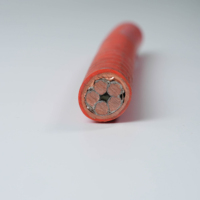 Cable de Alimentación de Cobre Libre de Oxígeno con Aislamiento de PVC de Alta Calidad para Uso Industrial y de Construcción