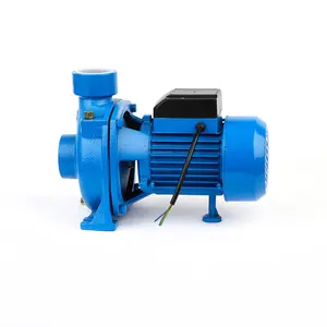 High Pressure 110/220V Surface Agricultural irrigation Water Pump Centrifugal Electric Water Pump